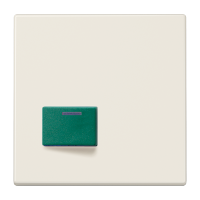 Cover plate for Ackermann - JUNG (pavadinimas tikslinamas)