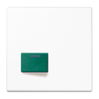 Cover plate for Ackermann - JUNG (pavadinimas tikslinamas)