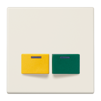 Cover plate for Ackermann - JUNG (pavadinimas tikslinamas)