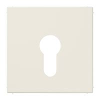 centre plate f. key switch - JUNG (pavadinimas tikslinamas)