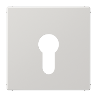centre plate f. key switch - JUNG (pavadinimas tikslinamas)
