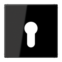centre plate f. key switch - JUNG (pavadinimas tikslinamas)