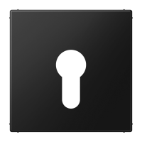 centre plate f. key switch - JUNG (pavadinimas tikslinamas)