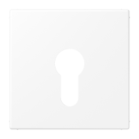 centre plate f. key switch - JUNG (pavadinimas tikslinamas)