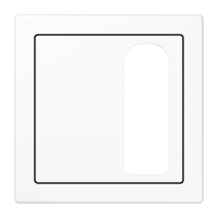 centre plate - JUNG (pavadinimas tikslinamas)