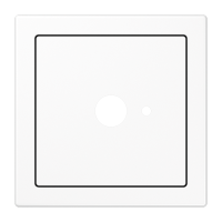 centre plate - JUNG (pavadinimas tikslinamas)