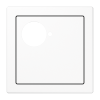 centre plate - JUNG (pavadinimas tikslinamas)