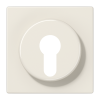 centre plate f. key switch - JUNG (pavadinimas tikslinamas)