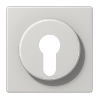 centre plate f. key switch - JUNG (pavadinimas tikslinamas)