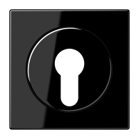 centre plate f. key switch - JUNG (pavadinimas tikslinamas)