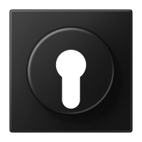 centre plate f. key switch - JUNG (pavadinimas tikslinamas)