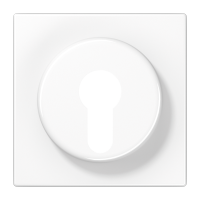 centre plate f. key switch - JUNG (pavadinimas tikslinamas)