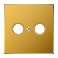 centre plate f. TV/FM socket - JUNG (pavadinimas tikslinamas)