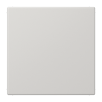 blank centre plate - JUNG (pavadinimas tikslinamas)