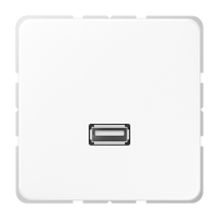 multimedia adapter - JUNG (pavadinimas tikslinamas)