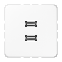 multimedia adapter - JUNG (pavadinimas tikslinamas)