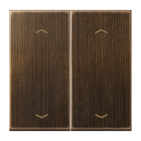 Rocker for push-button 2-gang, arrows - JUNG (pavadinimas tikslinamas)
