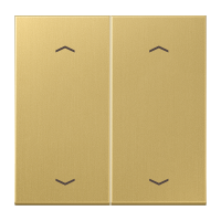 Rocker for push-button 2-gang, arrows - JUNG (pavadinimas tikslinamas)