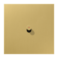 Centre plate 1-gang w. 1 toggle for IL - JUNG (pavadinimas tikslinamas)