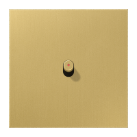 Centre plate 1-gang w. 1 toggle for IL - JUNG (pavadinimas tikslinamas)