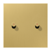 Centre plate 1-gang w. 2 toggle for IL - JUNG (pavadinimas tikslinamas)