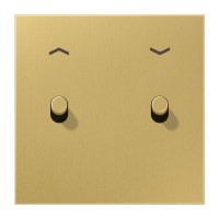 Centre plate 1-gang "arrows" 2 toggle - JUNG (pavadinimas tikslinamas)