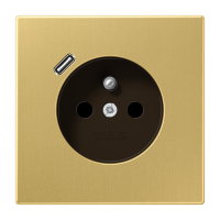 Socket fren/belg with USB type C - JUNG (pavadinimas tikslinamas)