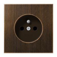 socket - JUNG (pavadinimas tikslinamas)
