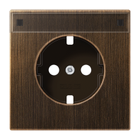 centre plate f. SCHUKO socket - JUNG (pavadinimas tikslinamas)