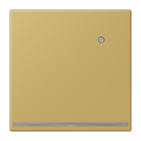 LED floor pilot light - JUNG (pavadinimas tikslinamas)