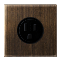 Us-Nema Socket 15A - JUNG (pavadinimas tikslinamas)