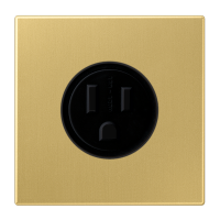 Us-Nema Socket 15A - JUNG (pavadinimas tikslinamas)