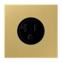 Us-Nema Socket 20A - JUNG (pavadinimas tikslinamas)