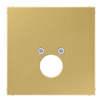 centre plate for socket - JUNG (pavadinimas tikslinamas)