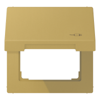 Hinged lid for socket - JUNG (pavadinimas tikslinamas)