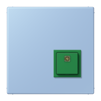 Reset button LC32021 - JUNG (pavadinimas tikslinamas)