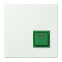 Reset button LC32024 - JUNG (pavadinimas tikslinamas)
