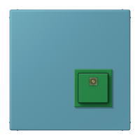 Reset button LC32031 - JUNG (pavadinimas tikslinamas)