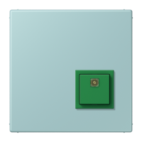Reset button LC32033 - JUNG (pavadinimas tikslinamas)