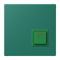 Reset button LC32040 - JUNG (pavadinimas tikslinamas)