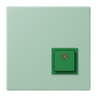 Reset button LC32041 - JUNG (pavadinimas tikslinamas)