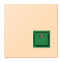 Reset button LC32060 - JUNG (pavadinimas tikslinamas)