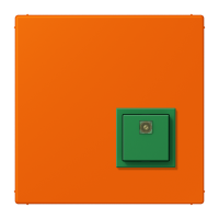 Reset button LC32080 - JUNG (pavadinimas tikslinamas)