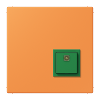 Reset button LC32081 - JUNG (pavadinimas tikslinamas)