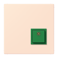 Reset button LC32082 - JUNG (pavadinimas tikslinamas)