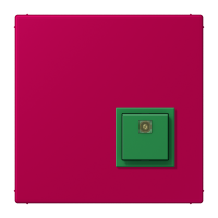 Reset button LC32101 - JUNG (pavadinimas tikslinamas)