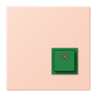 Reset button LC32112 - JUNG (pavadinimas tikslinamas)