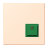 Reset button LC32123 - JUNG (pavadinimas tikslinamas)