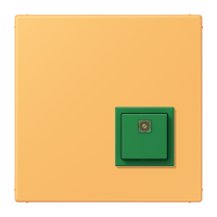 Reset button LC4320L - JUNG (pavadinimas tikslinamas)