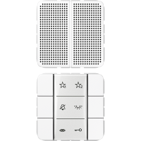 DCM Audio indoor station - JUNG (pavadinimas tikslinamas)